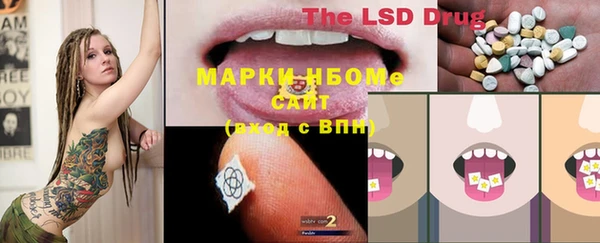 прущие грибы Абаза